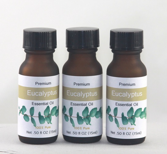 Euclyptus 1/2 OZ Essential Oil